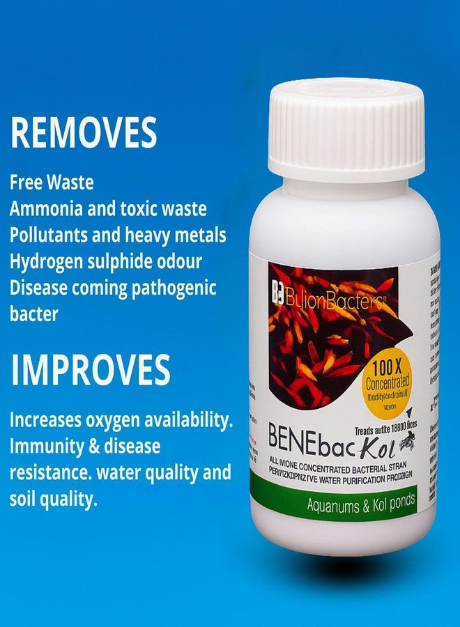 مليار بكتيريا بينيباك كوي - 140 مل | بروبيوتيك مُركّز 100 ضعف لتنقية المياه لأحواض أسماك الكوي وأحواض المياه العذبة | يقلل من الأمونيا والروائح الكريهة ومسببات الأمراض - Image 3